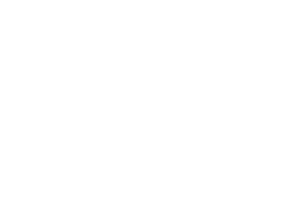 Vanguard Controls Inc. White Icon